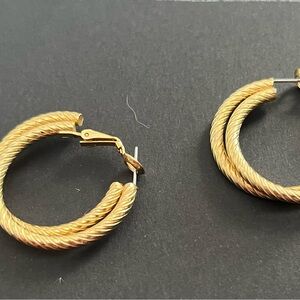 Elegant Gold Hoop Earrings